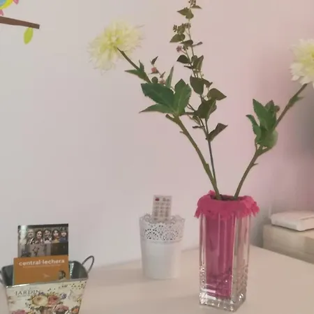 アパート Apartamento Mentidero Plaza カディス